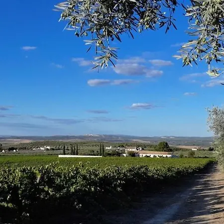 Holiday home La Capellania De Alvear *